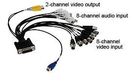 D-Sub to RCA jack and BNC cable
